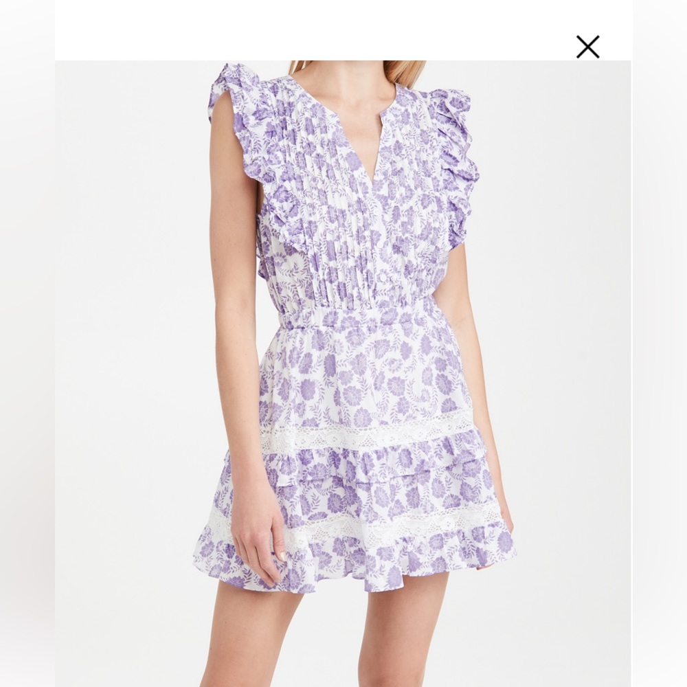 BB Dakota Mariposa Dress